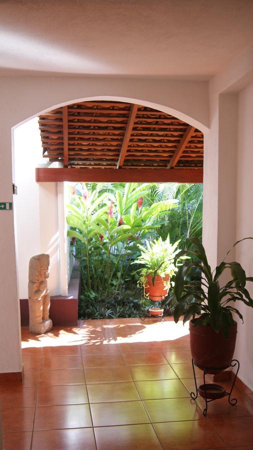 Cacique Adiact * Leon