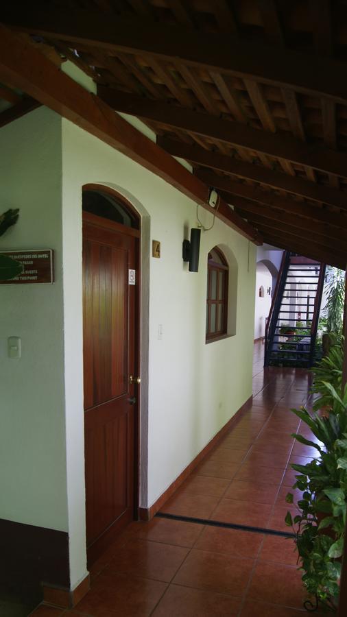 Cacique Adiact *